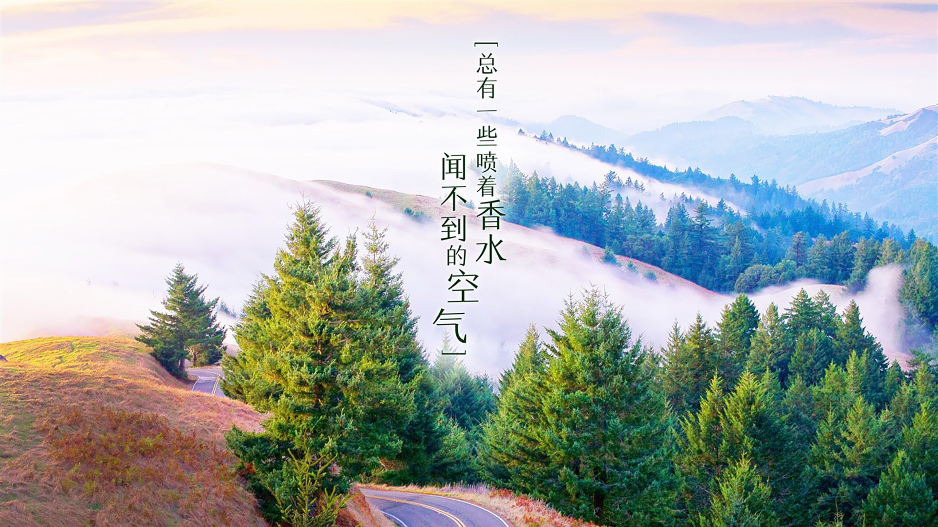 九游jiuyou-“荣耀瞬间：冠军的感人时刻”，荣耀历史冠军
