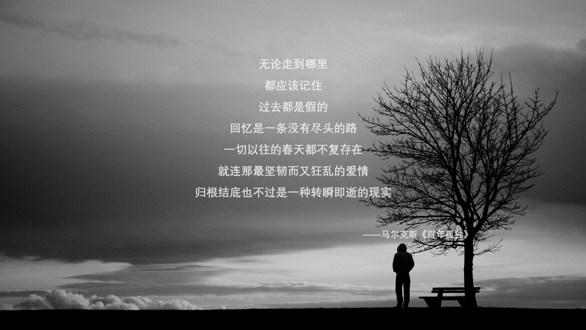 意甲赛场外文化盛宴，吸引多元粉丝群体，意甲俱乐部