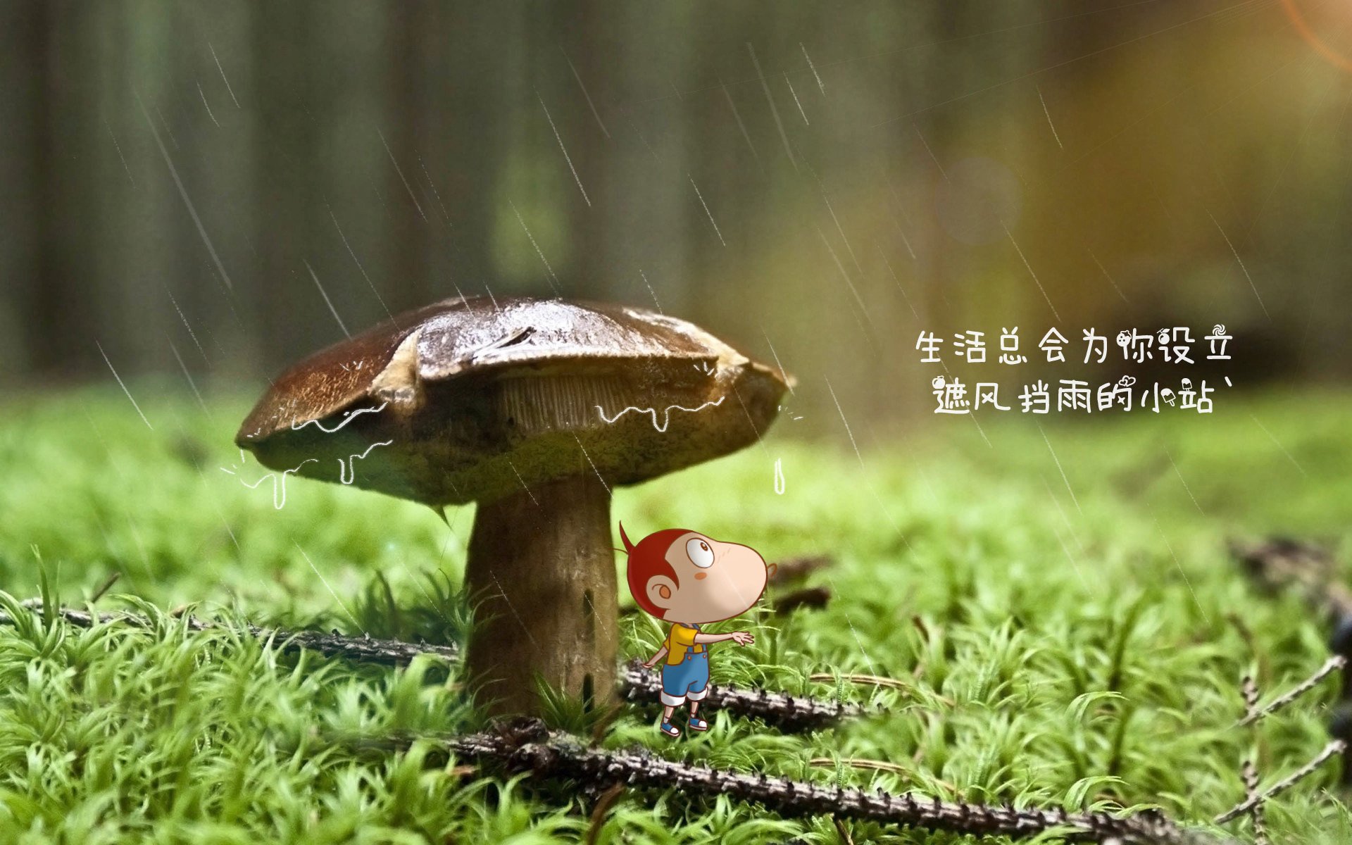 九游网-LPL夏季赛裁判执裁精准率创新高，lpl夏季赛裁判执裁精准率创新高的是谁