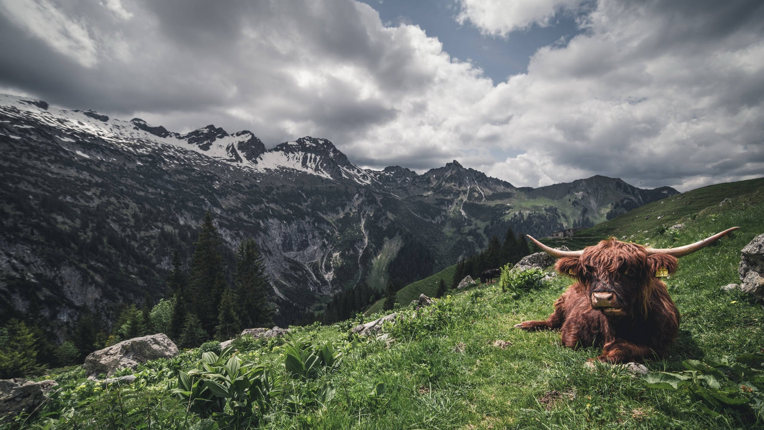 塞尔维亚豪取三分，锁定晋级资格，塞尔维亚怎么样了
