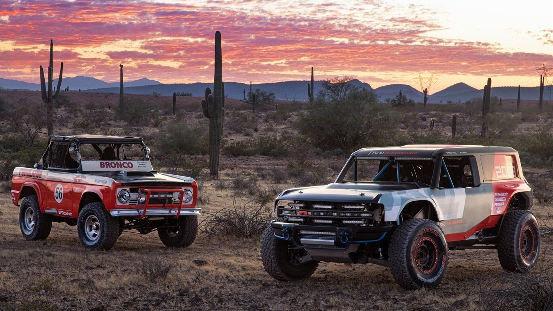 布莱顿中场组织出色，海鸥军团有望挺进前十，布莱顿海湾