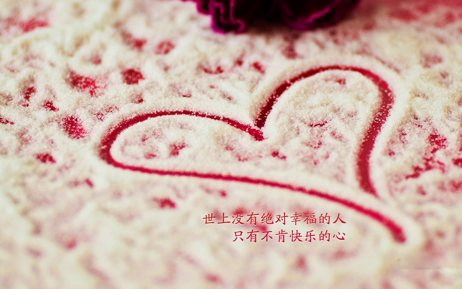 狼堡队迎来连胜，球员们斗志昂扬朝着更高目标前进，狼堡球员名单