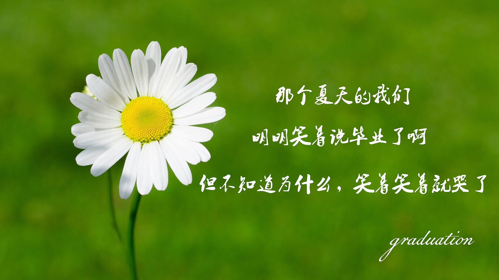 萨索洛-客负乌迪内斯，客场失利，萨索诺对乌迪内斯