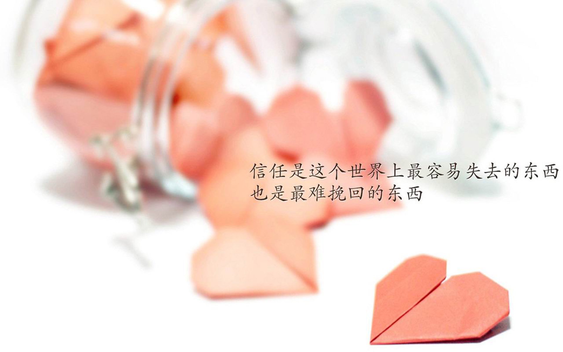 世界越野跑锦标赛中国选手表现优异，世界级越野赛