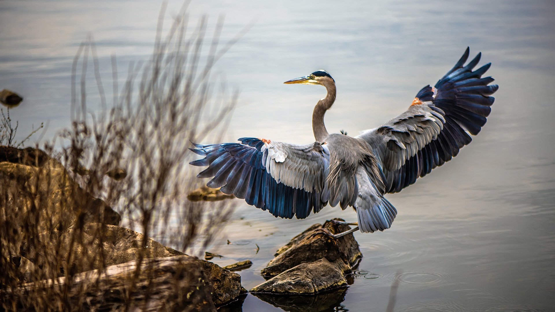 勒沃库森门将状态出色屡次救险，勒沃库森吧