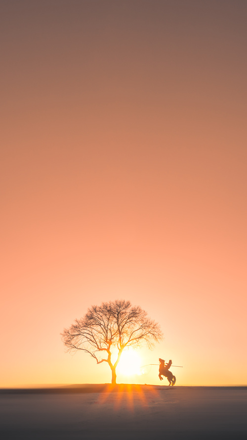 中学篮球教练团队专业化建设促进教学水平提升，篮球教练的教学理念