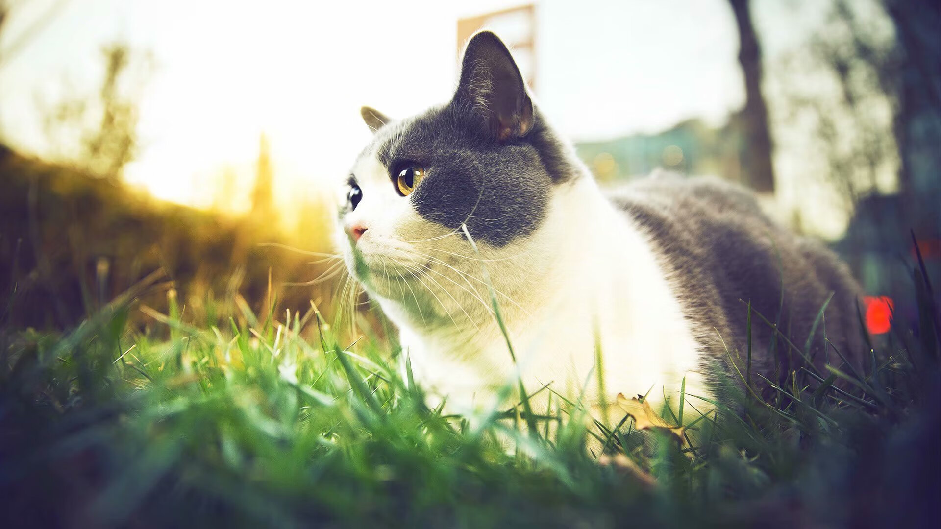 JIUYOU GAMING-体育新闻中心风云人物榜单，体育新闻官网