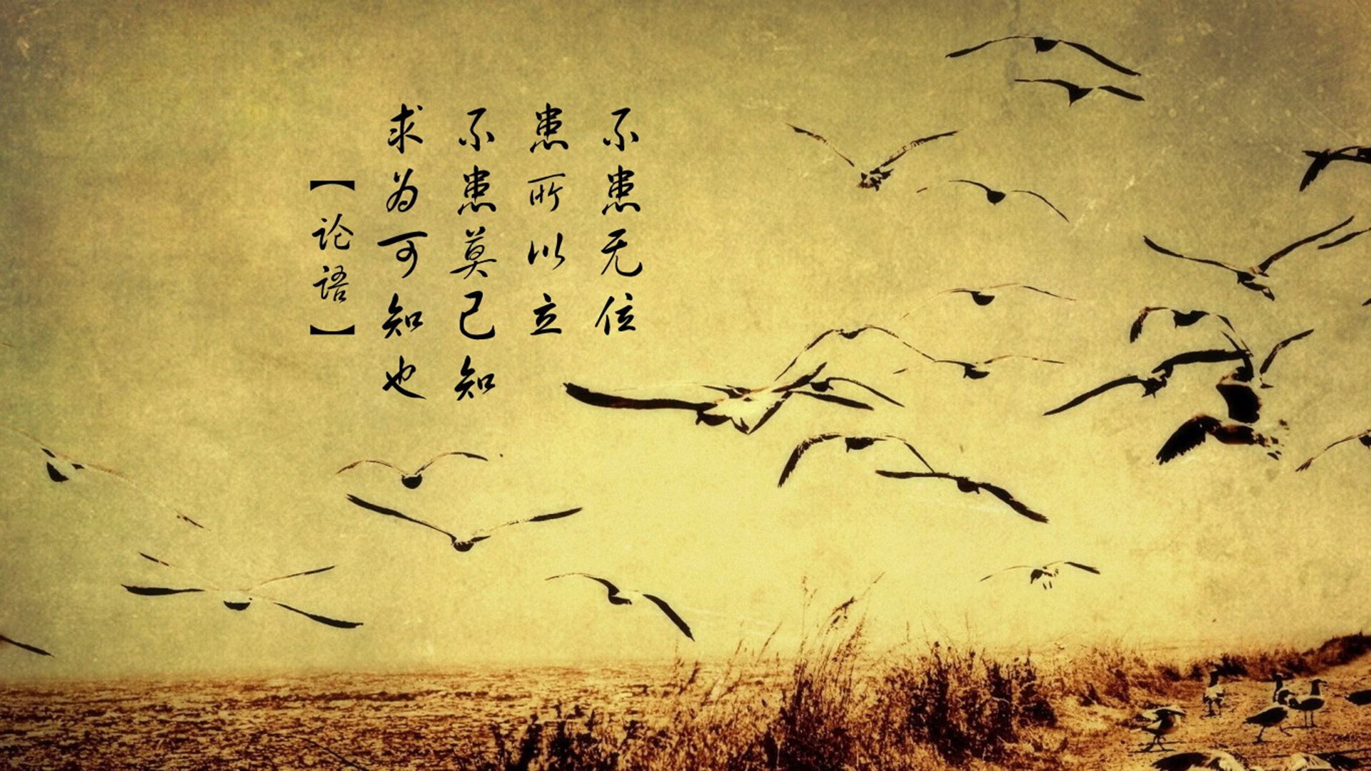 火箭更新球员个人数据页面提升球迷互动体验，火箭球队球员