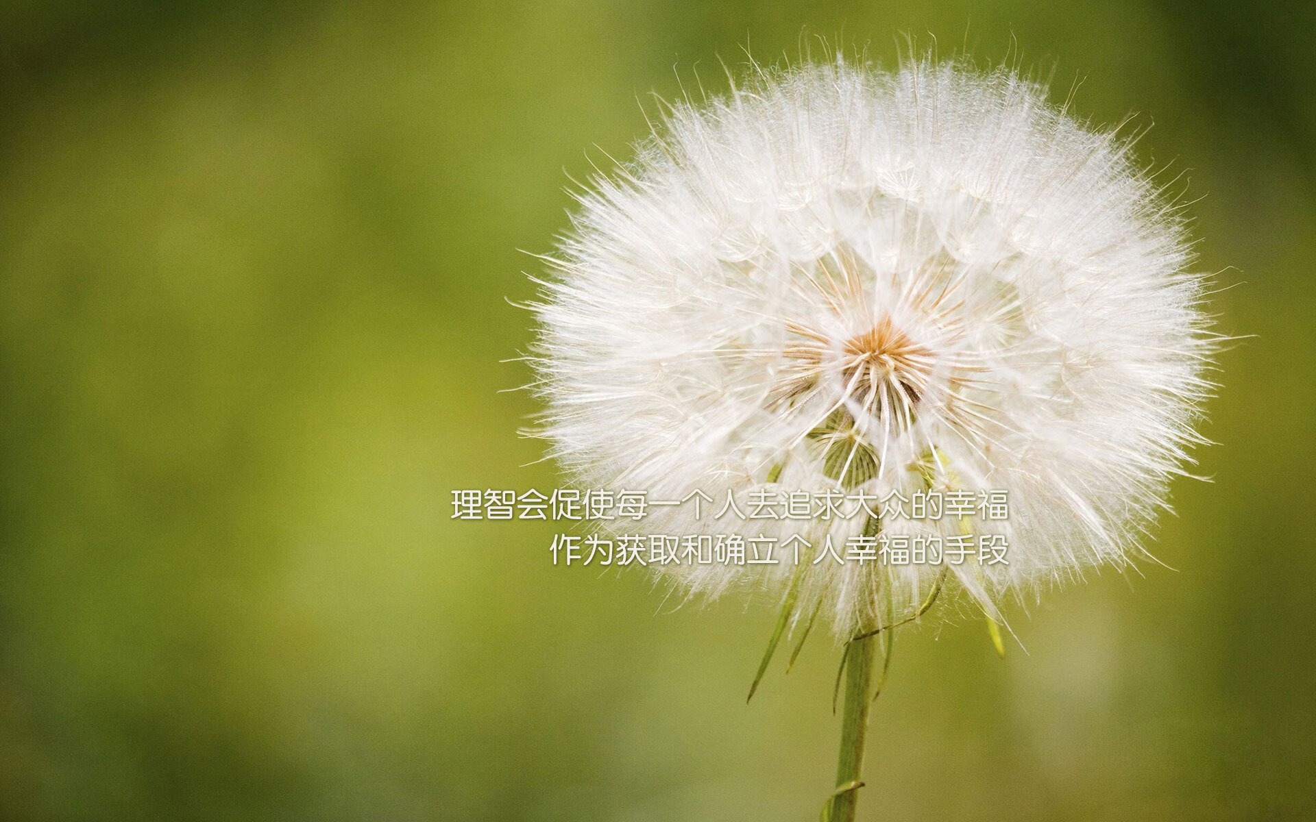 九游app下载中心-青训基地注重科技应用提升训练精准性和安全性，青训基地是什么