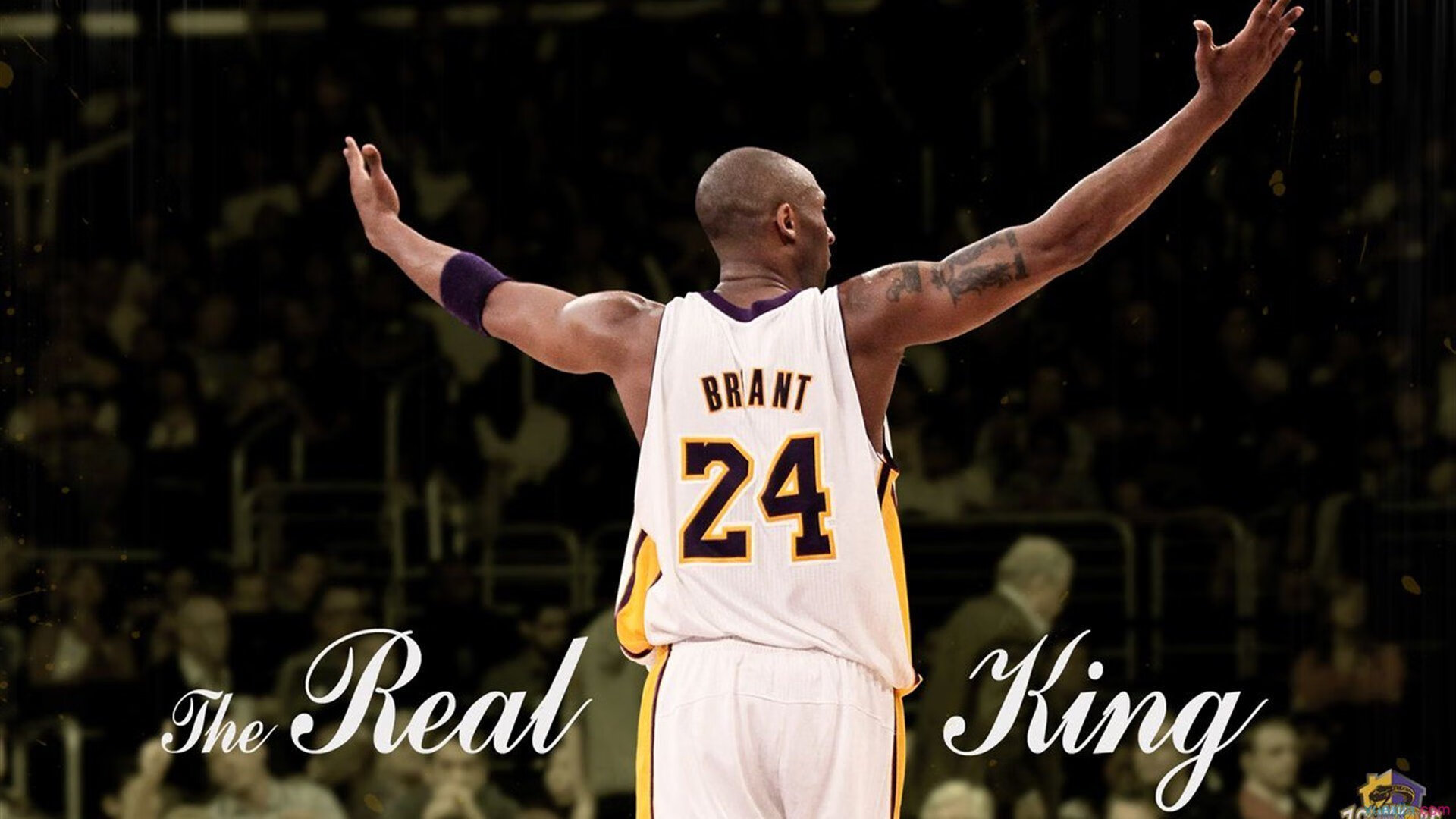 KPL选手退役转型：他们的新选择是什么？，kpl职业退役选手有哪些